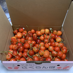 訳あり さくらんぼ《佐藤錦》ご家庭用 1kg～