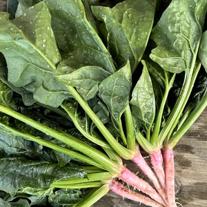 [信州産]アクがなく柔らかい春の根付きほうれん草