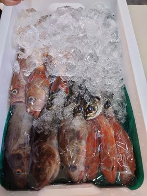 みんなの投稿の画像