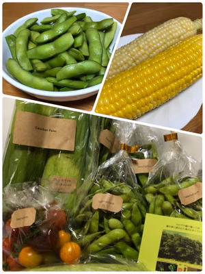 みんなの投稿の画像