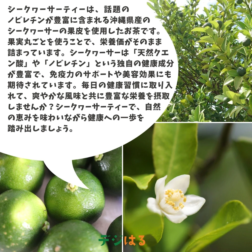 【送料込】シークワーサーティー｜沖縄産（無農薬）
