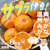 サプラ伊豆！爽やかな温州みかん【減農薬】