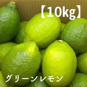 【10㎏／M.Lサイズ】特選品「グリーンレモン」