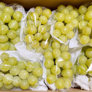 (訳あり品)【 信州上田産シャインマスカット 】約2kg(5房前後)