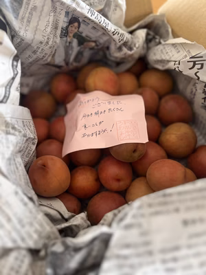 みんなの投稿の画像