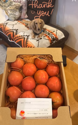 みんなの投稿の画像