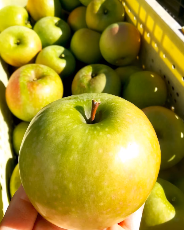 出品数限り　お菓子作りに最適★CookingApple‼️ｸﾞﾗﾆｰｽﾐｽ