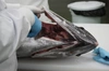 【マグロ漁師激薦！】本マグロのエラブタ肉500g〜