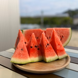 ☆植木すいか☆5月26日終了