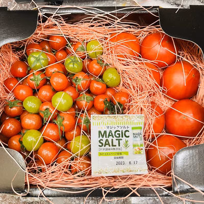 みんなの投稿の画像