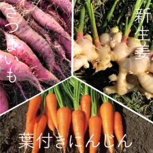 【季節のお野菜セット秋冬】にんじん・生姜・さつまいものセット