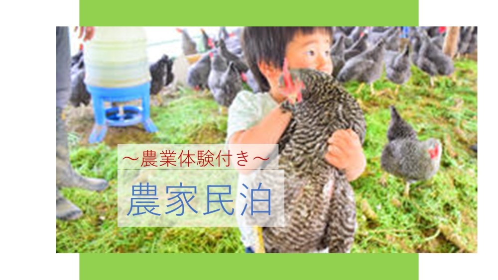 これぞ農家の ごちそう 農家民泊 大人の食育コース 農家漁師から産地直送の通販 ポケットマルシェ