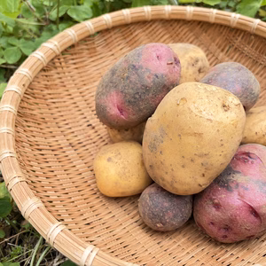 ホクホクも、しっとりも。長崎生まれの個性派じゃがいも食べ比べセット