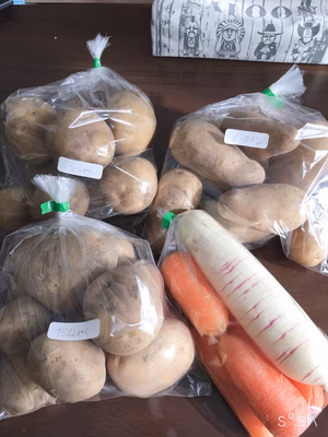 みんなの投稿の画像