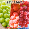 シャイン品種食べ比べ！シャインマスカット＋赤ぶどう2品種　甘さたっぷりセット