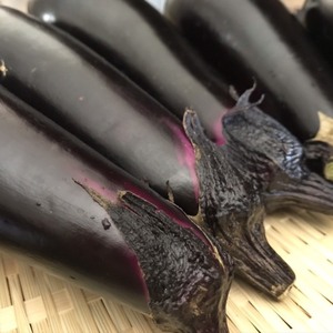 【オーガニック】採れたて新鮮！有機茄子