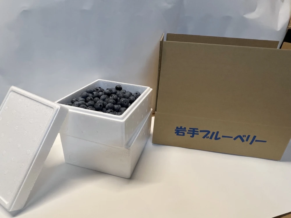 【お買い得】冷凍ブルーベリー　1kg(500ｇ×2箱)