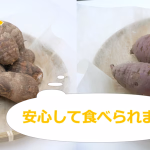 栽培期間中農薬不使用！会宝農園のおいもセット