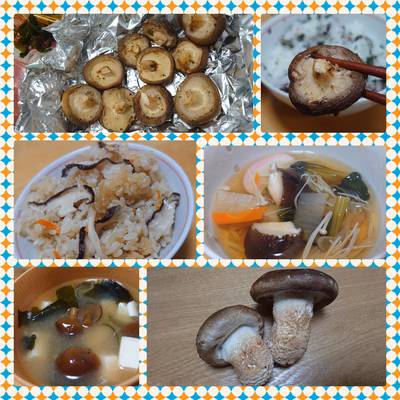 みんなの投稿の画像