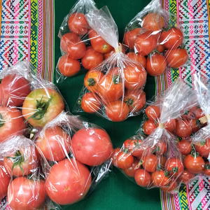 農園自慢の情熱トマト３種食べ比べセット★　パチャママ農園