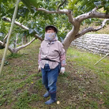 堂本幸子 | 堂本農園