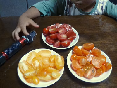 みんなの投稿の画像