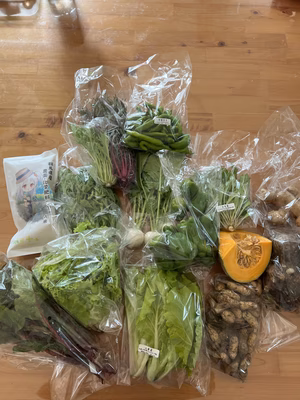 みんなの投稿の画像