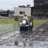 藤本 一志