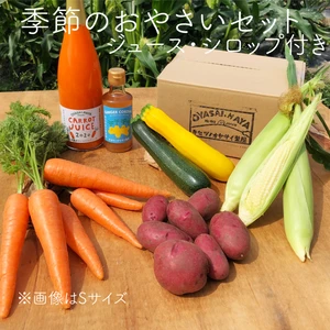【ジュース・シロップ付き】農薬・化学肥料不使用　季節のおやさいセット