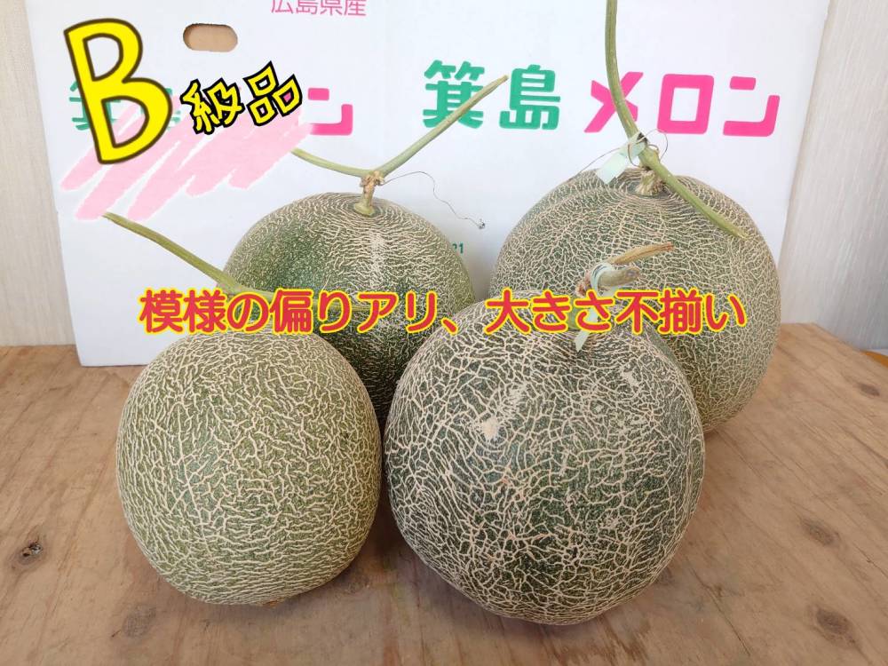 メロン② 楽天市場】八江農芸 メロン シーボルト2号 100粒 : 種苗・園芸ショップ