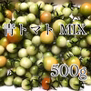 【川上農園】青トマト 変わった野菜が好きな方に✨ 500g