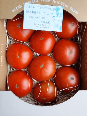 みんなの投稿の画像