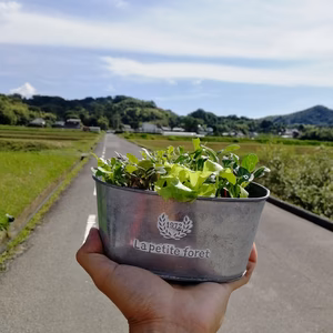 ポケベビ栽培セット【有機JAS認証畑の土使用】