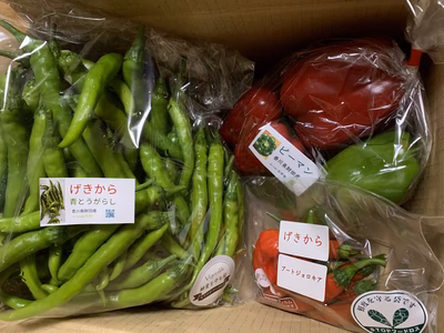 みんなの投稿の画像