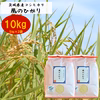 【豊﨑屋　特別月間！】茨城県産コシヒカリ　風のひかり10kg