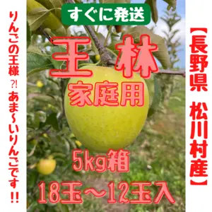 りんごの王様⁈王林（おうりん）【長野県松川村産】家庭用