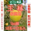 りんごの王様⁈王林（おうりん）【長野県松川村産】家庭用