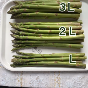 ☆夏芽☆ジューシー最上アスパラガスLから3L