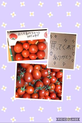 みんなの投稿の画像