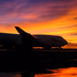 口が肥えている