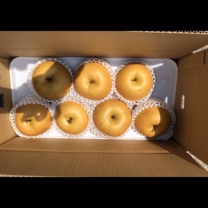 梨　大玉　約４キロ(6～8玉)　