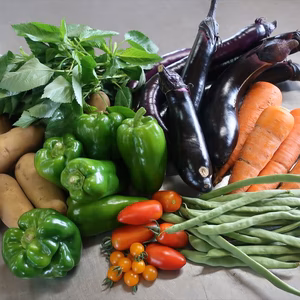 元気モリモリ！夏野菜セット6種（ややワケあり含む）