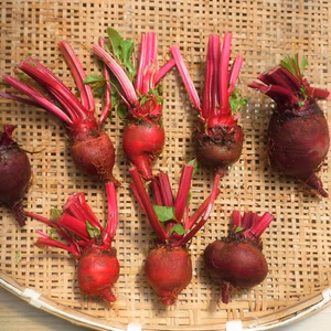 【訳アリ】ビーツ Sサイズ