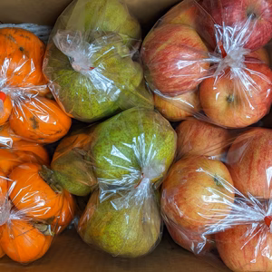 柿とりんごとラ・フランス