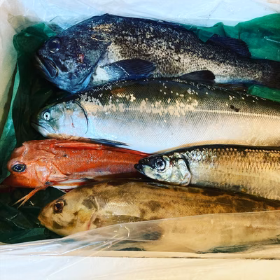 みんなの投稿の画像