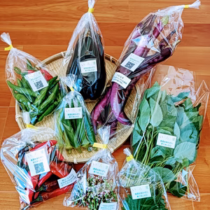 旬の野菜セット　６０サイズ