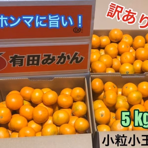 有田みかん　小粒小玉　5kg（箱込）送料無料(´ε｀ )