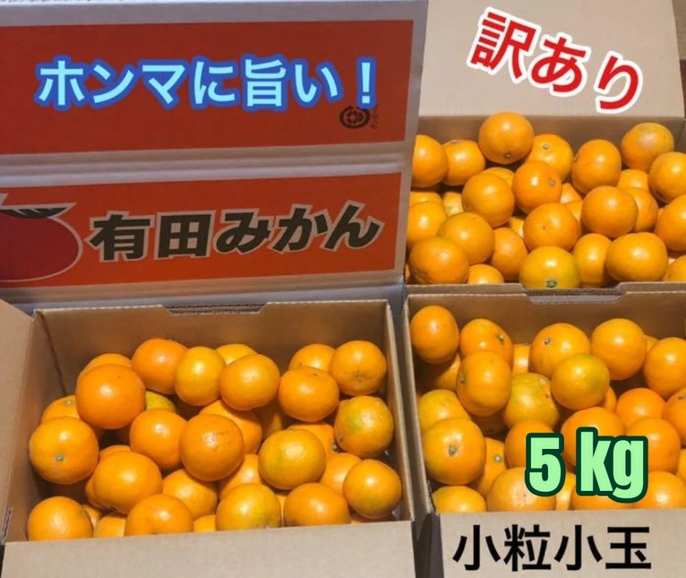 有田みかん【小粒小玉】5kg（箱込）送料無料 80