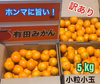有田みかん　小粒小玉　5kg（箱込）送料無料(´ε｀ )