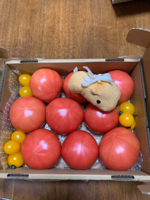 みんなの投稿の画像